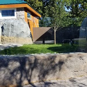Wild Animal Park - African penguins