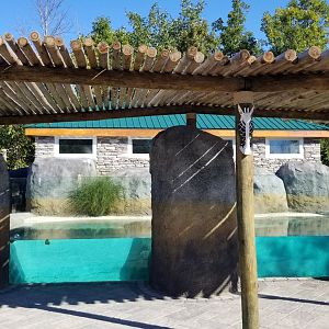 Wild Animal Park - African penguins