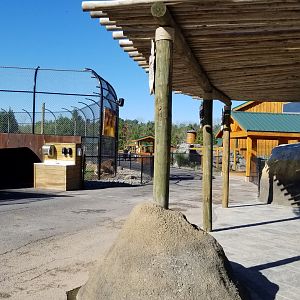 Wild Animal Park - Lions on left, penguins on right