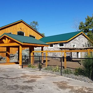 Wild Animal Park - Pygmy hippo
