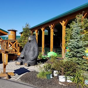 Wild Animal Park - Children's area