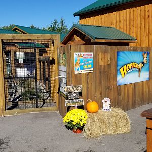 Wild Animal Park - Baby kangaroo photo op area (empty)