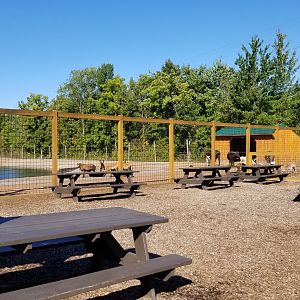 Wild Animal Park - Hoofstock area