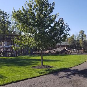 Wild Animal Park - Jaguar, grizzly bear