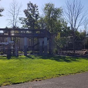 Wild Animal Park - Jaguar