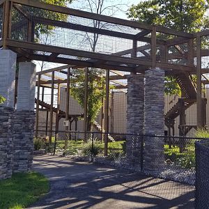 Wild Animal Park - Jaguar