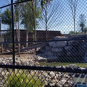 Wild Animal Park - Grizzly bears