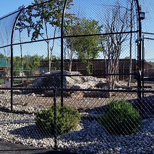 Wild Animal Park - Grizzly bears