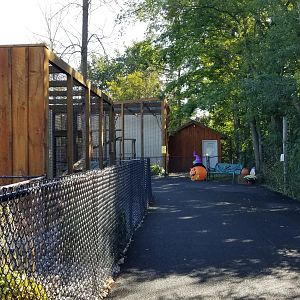 Wild Animal Park - Path