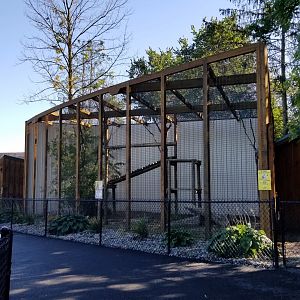 Wild Animal Park - Clouded leopard
