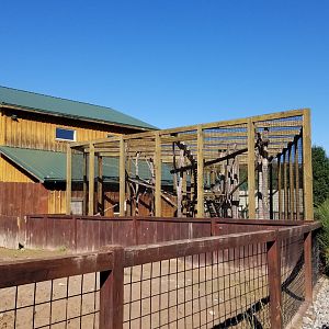 Wild Animal Park - red river hogs (empty), ring-tailed lemurs
