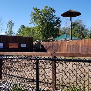 Wild Animal Park - Red river hogs (empty)