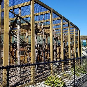 Wild Animal Park - Ring-tailed lemurs