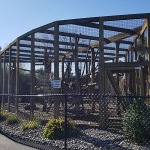 Wild Animal Park - Ring-tailed lemurs