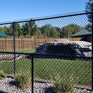 Wild Animal Park - Spotted hyena