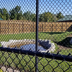 Wild Animal Park - Spotted hyena