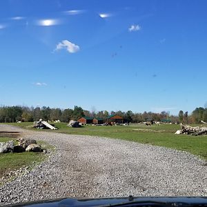 Wild Animal Park - First stretch of drive through