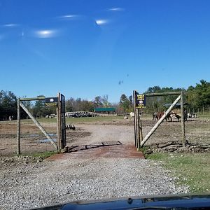 Wild Animal Park - second section of drive through