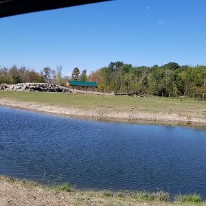 Wild Animal Park - One of many ponds