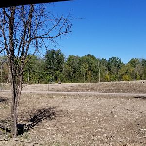 Wild Animal Park - Area that looks new