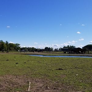 Wild Animal Park - Pond from other side