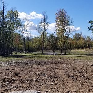 Wild Animal Park - Another pond