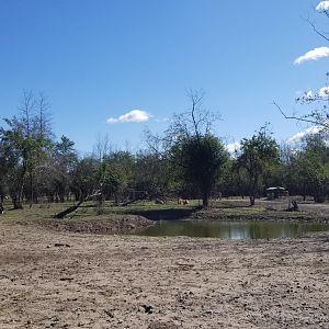 Wild Animal Park - Eland, oryx, zebra