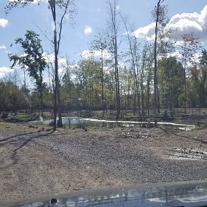 Wild Animal Park - Another pond