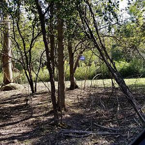 Wild Animal Park - Anti-zoo signs on back of property facing the drive through