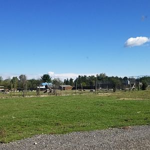 Wild Animal Park - Entrance, tiger exhibit