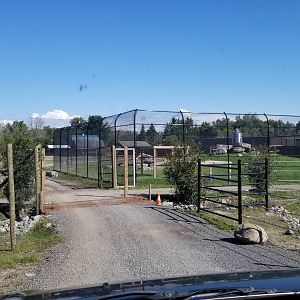 Wild Animal Park - Back into first area, tiger exhibit