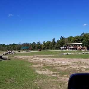 Wild Animal Park - Optional guided tour