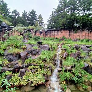 Yokohama Zoorasia japanese black bear enclosure