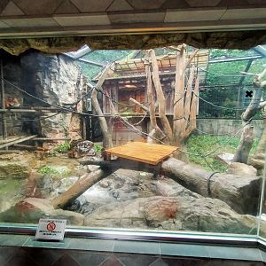 Yokohama Zoorasia proboscis monkey enclosure