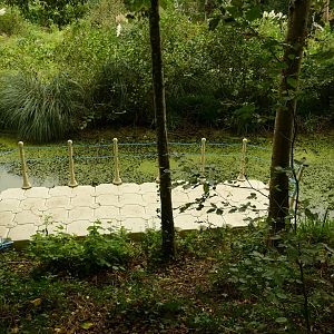 Bridges - continued, September 2021