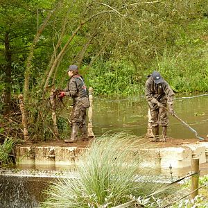 Bridge over troubled waters, September 2021