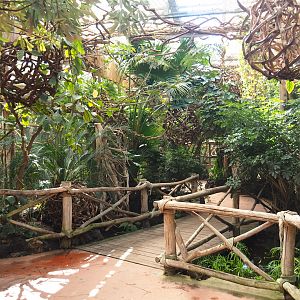 View in the Oasis, 2021-09-03