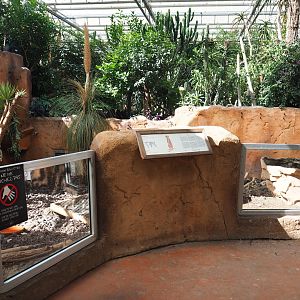Meerkat viewing area in the Oasis, 2021-09-03