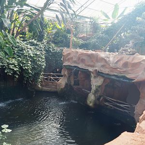 View of pond and lower area in the Oasis, 2021-09-03