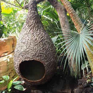 Play structure inspired by a weaver nest, 2021-09-03