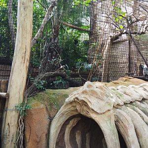 Empty and unsigned aviary, with elephant rib cage theming outside, 2021-09-03