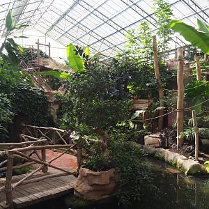 White-faced saki island and lower visitor area in the Oasis, 2021-09-03
