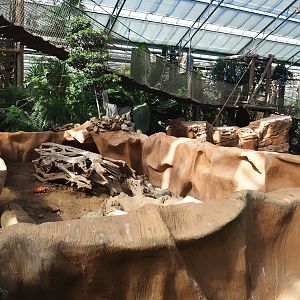 Large hairy armadillo exhibit in the Oasis, 2021-09-03