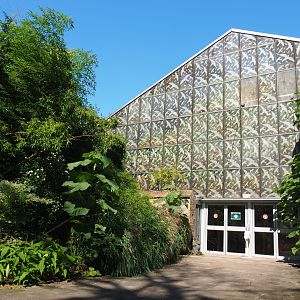 Oasis greenhouse, 2021-09-03