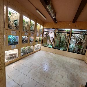Terrarium house - main room general look