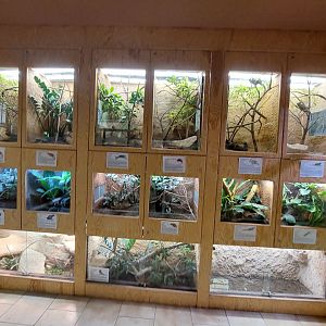 Terrarium house - terrarium wall #1