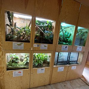 Terrarium house - terrarium wall #2