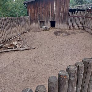 Domestic area - pig enclosure