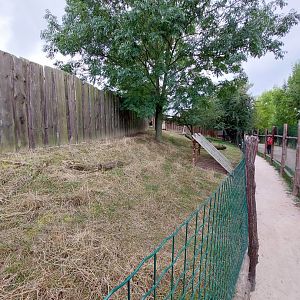 Red-necked wallaby exhibit