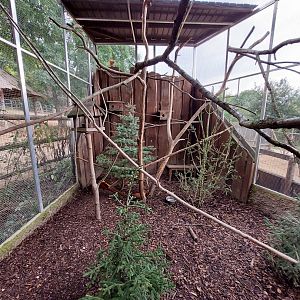 Red squirrel+Golden pheasant walkthrough exhibit